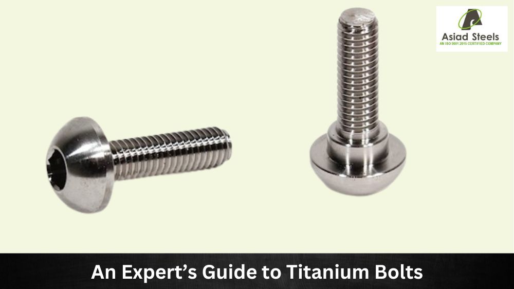 A pair of Titanium Bolts