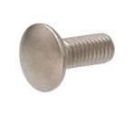 Stainless Steel 409 Carriage Bolt